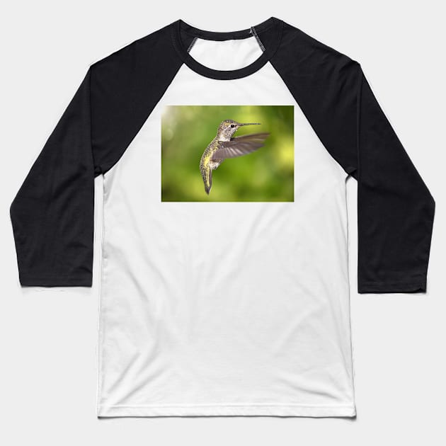 Anna's Hummingbird in Flight Baseball T-Shirt by JeffreySchwartz